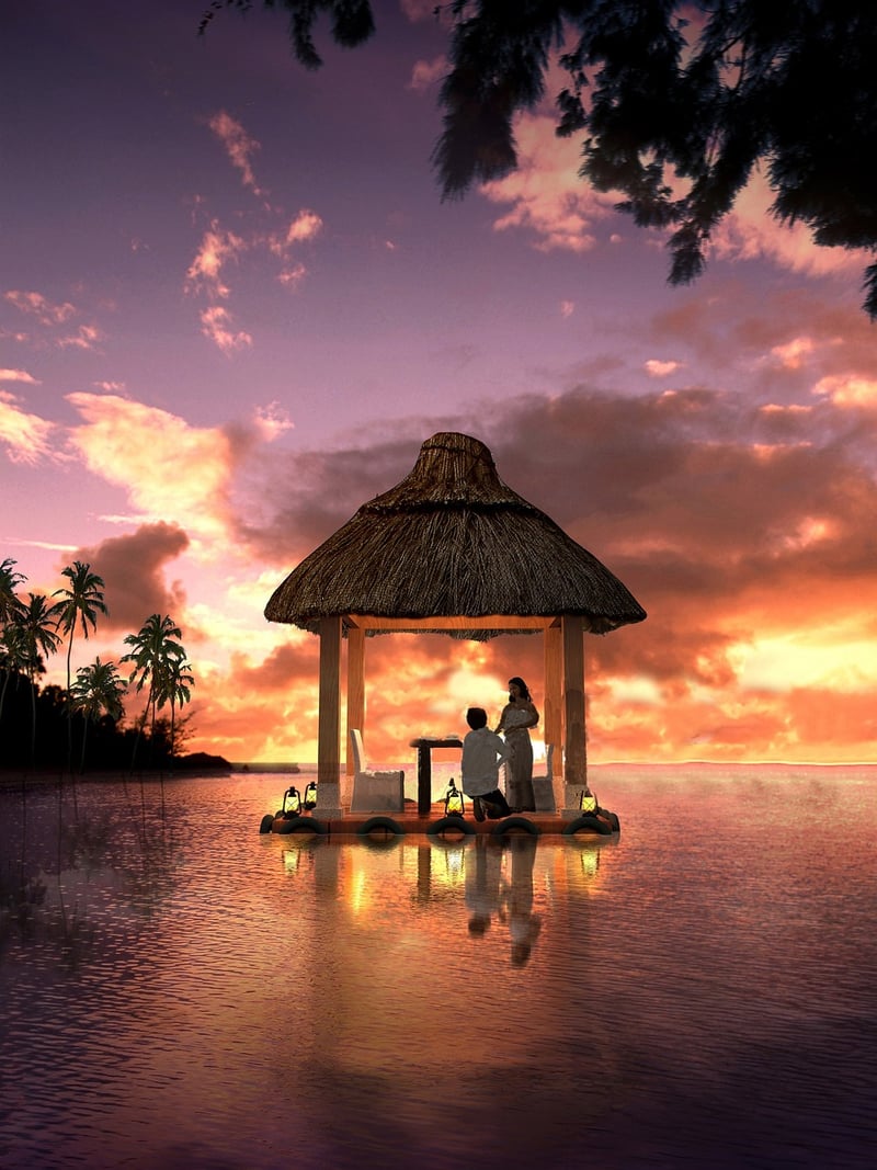 Moonlit Meadows Pavilion